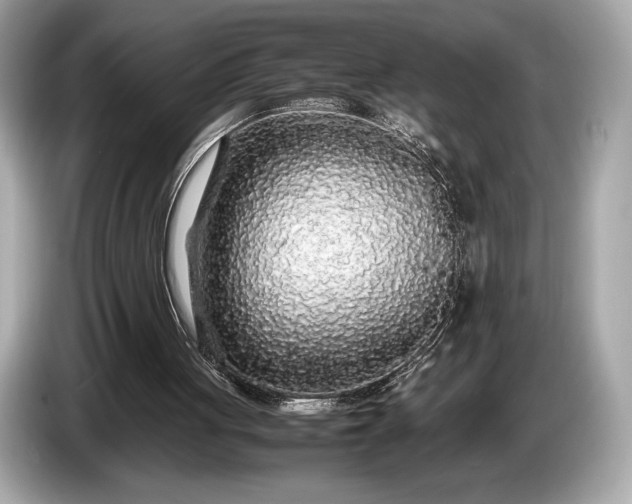 X0000085070051200703191310