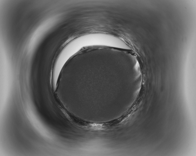 X0000085070052200703191310