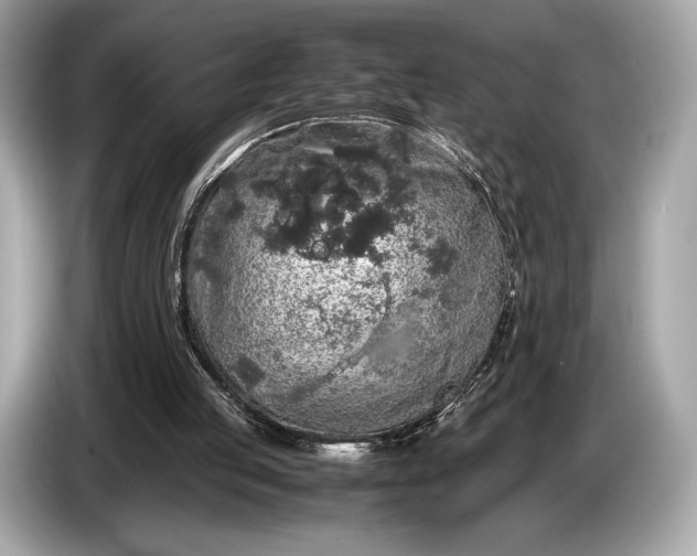 X0000085070053200703191310