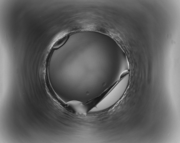 X0000085070054200703191310