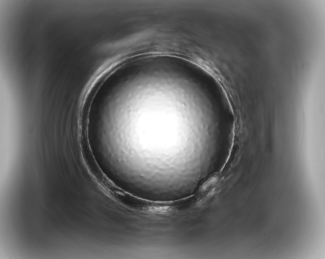 X0000085070055200703191310