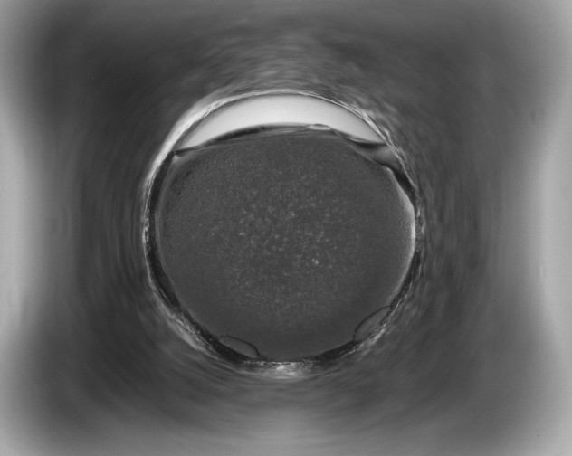 X0000085070056200703191310