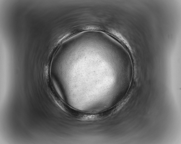 X0000085070057200703191310