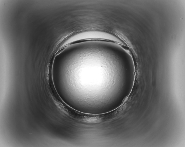 X0000085070058200703191310