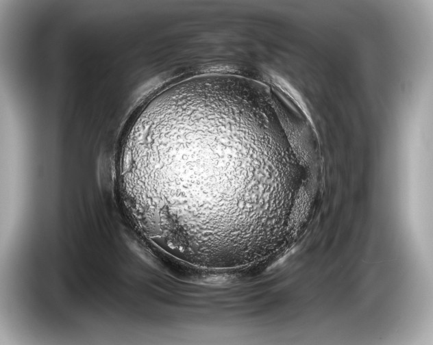 X0000085070059200703191310