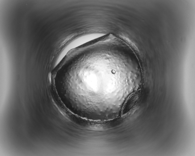 X0000085070062200703191310