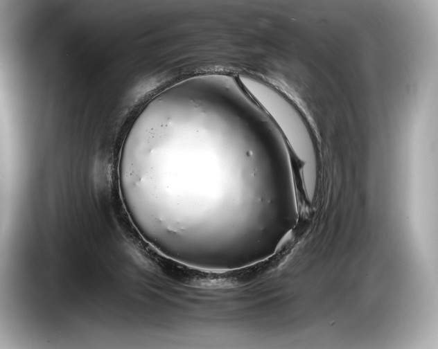 X0000085070063200703191310