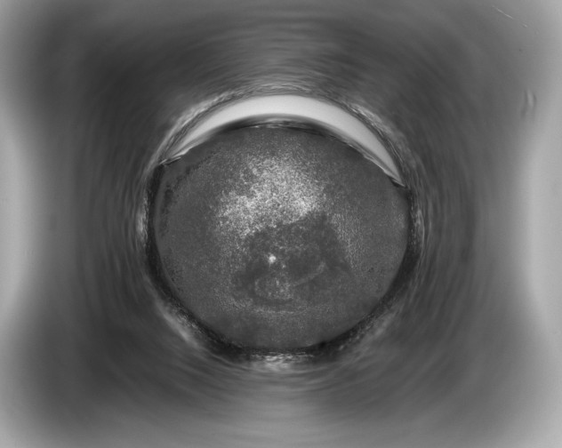 X0000085070064200703191310