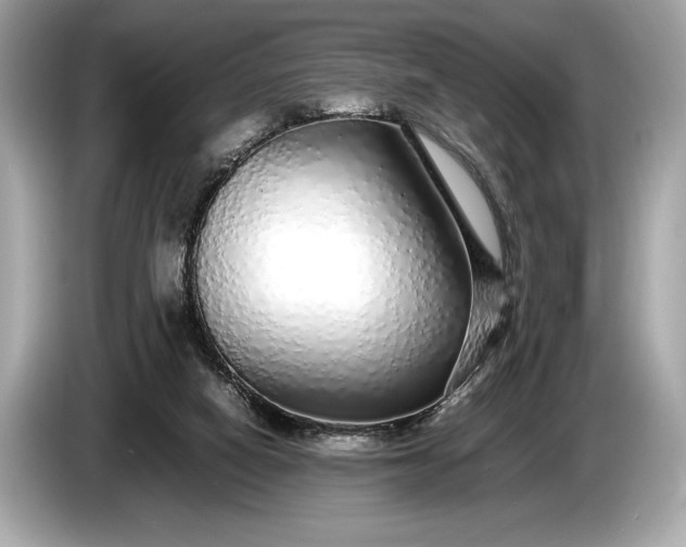 X0000085070066200703191311