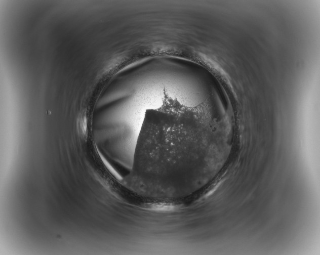 X0000085070067200703191311