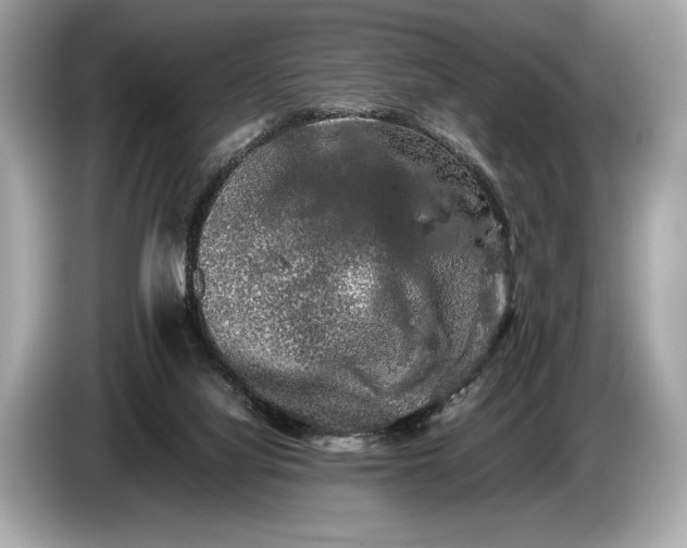 X0000085070068200703191311