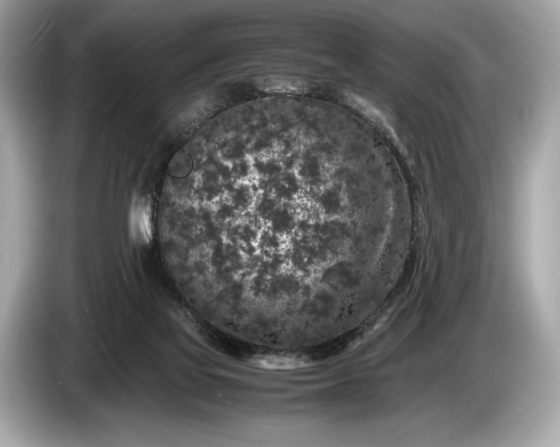 X0000085070069200703191311