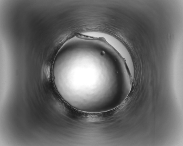 X0000085070070200703191311