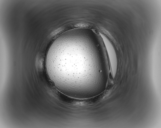 X0000085070071200703191311