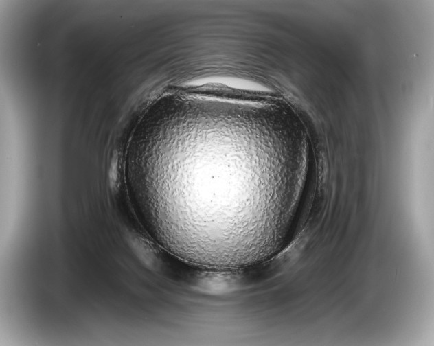 X0000085070074200703191311