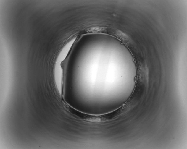 X0000085070075200703191311