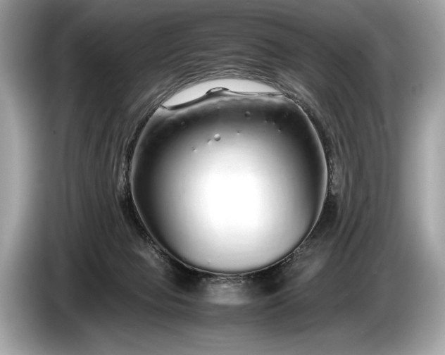 X0000085070077200703191311