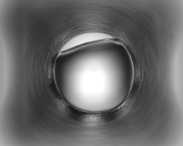 X0000085070078200703191311