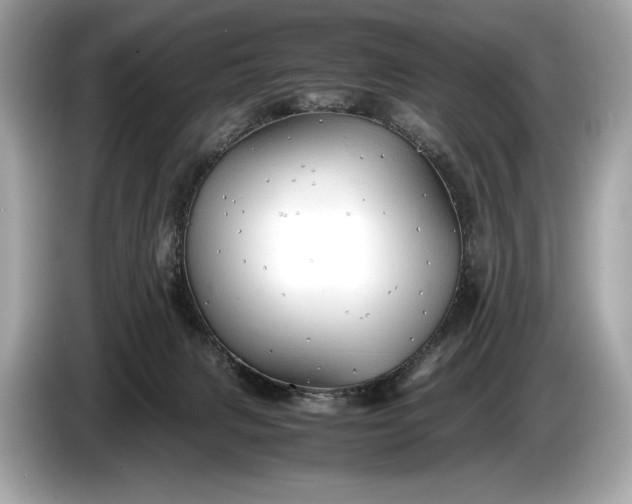 X0000085070079200703191311