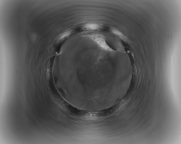 X0000085070080200703191311