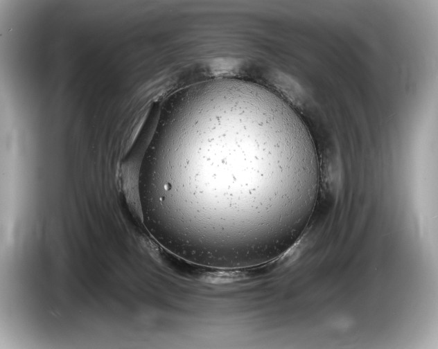 X0000085070082200703191311