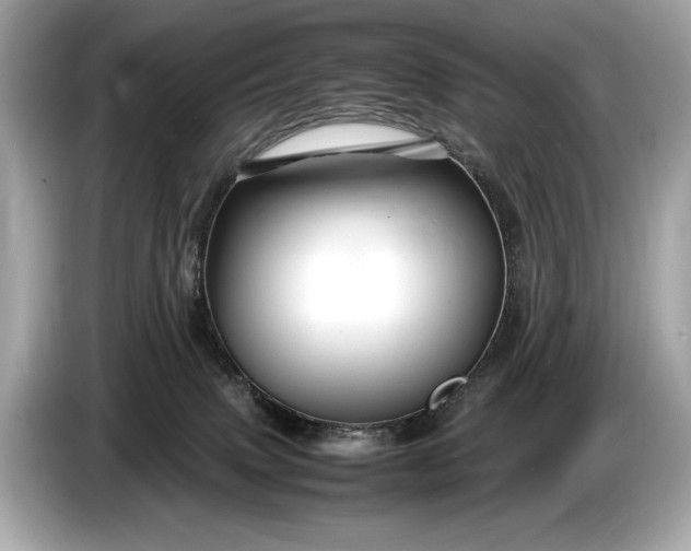 X0000085070083200703191311