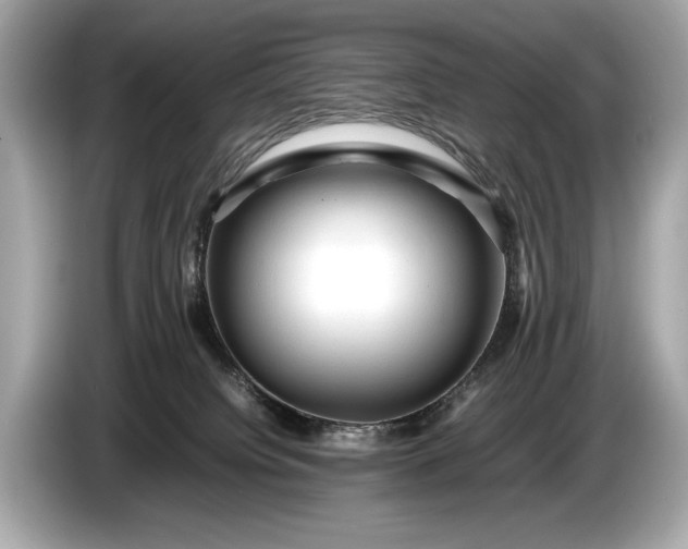 X0000085070084200703191311