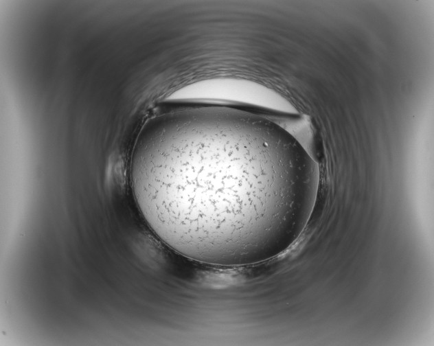 X0000085070086200703191311