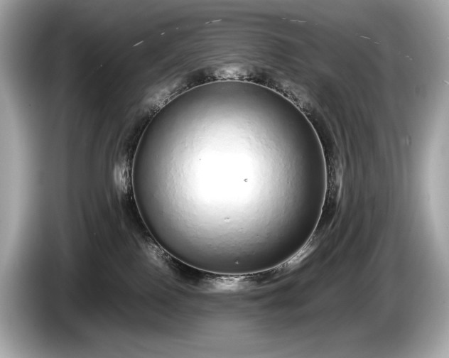 X0000085070090200703191311