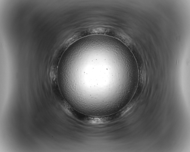 X0000085070091200703191311