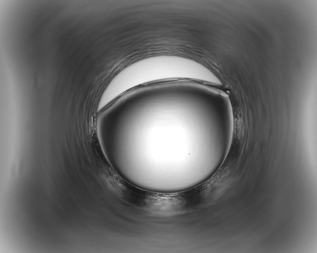 X0000085070093200703191311