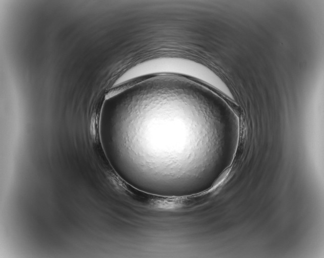 X0000085070094200703191311