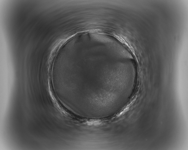 X0000085070097200703191310