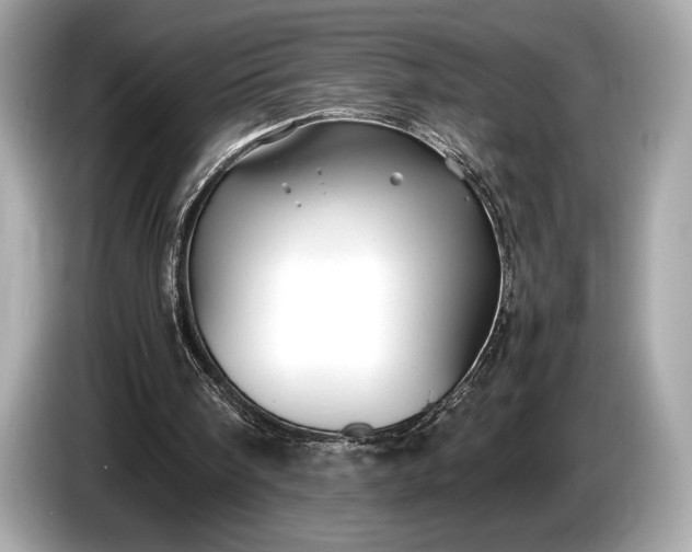 X0000085070098200703191310