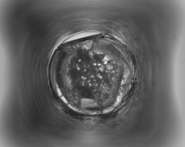 X0000085070099200703191310