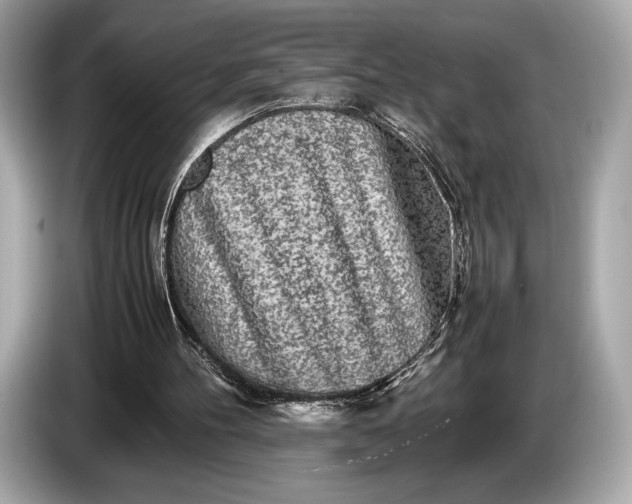 X0000085070100200703191310