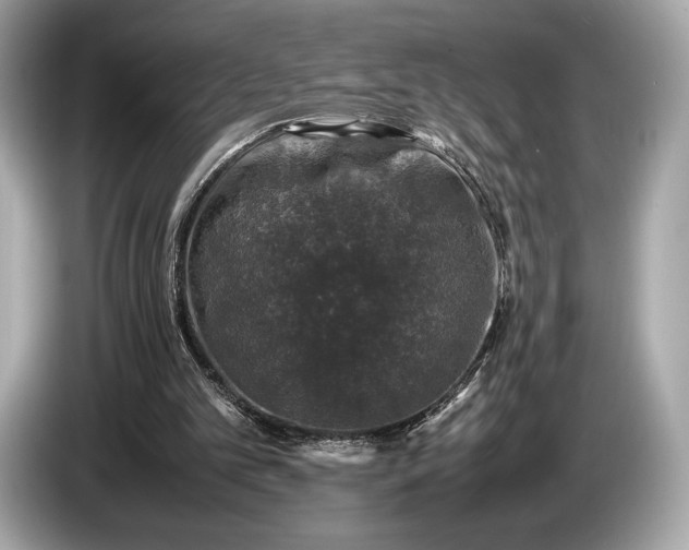 X0000085070101200703191310