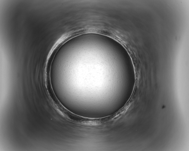 X0000085070102200703191310