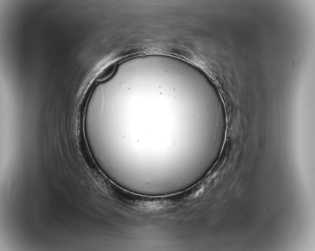 X0000085070103200703191310