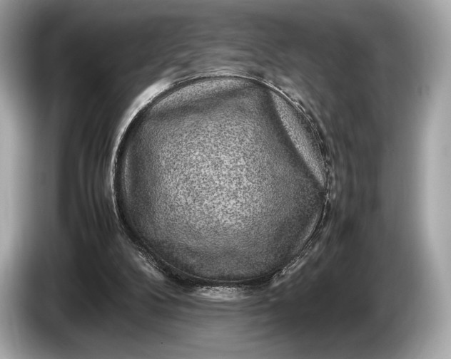 X0000085070104200703191310