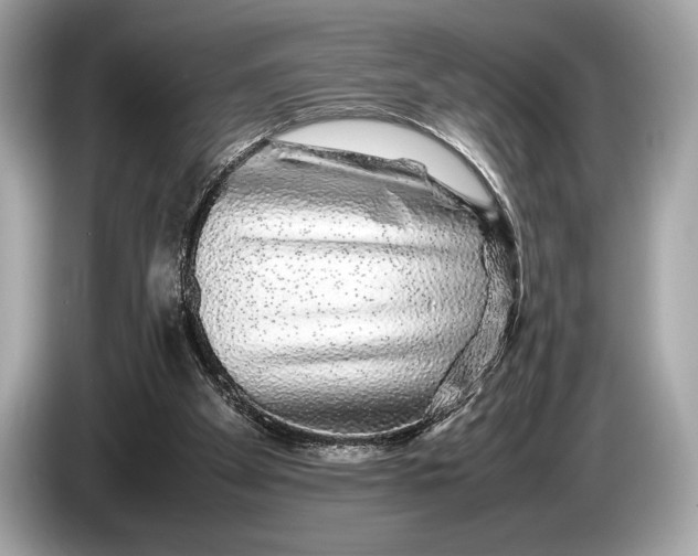 X0000085070105200703191310