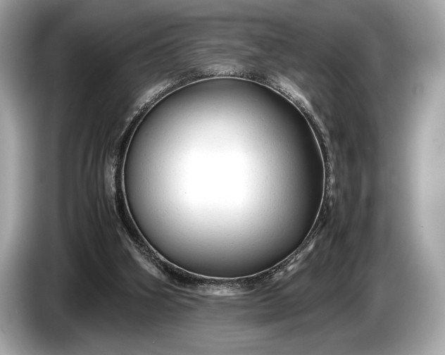 X0000085070106200703191310