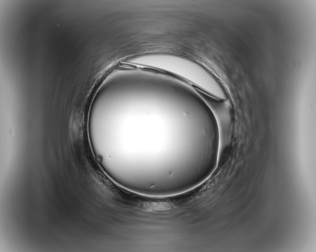 X0000085070107200703191310