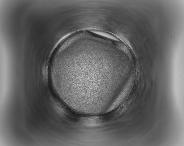 X0000085070108200703191310