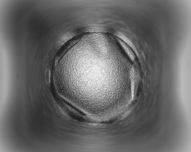 X0000085070109200703191310