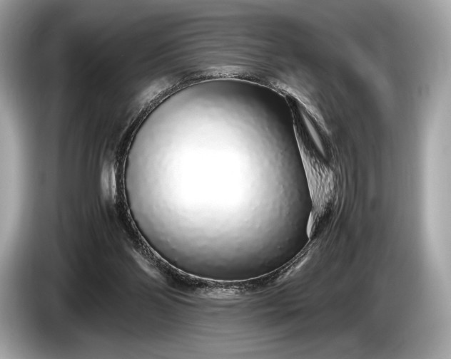 X0000085070110200703191310