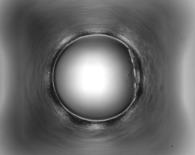 X0000085070111200703191310