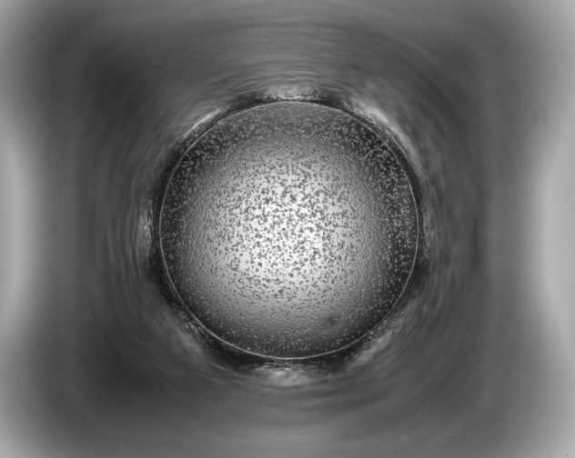 X0000085070113200703191310