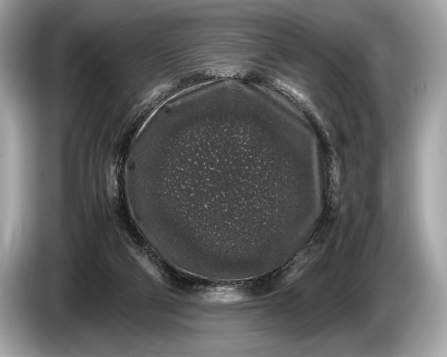 X0000085070114200703191310