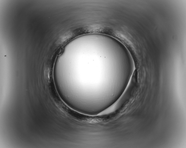 X0000085070115200703191310